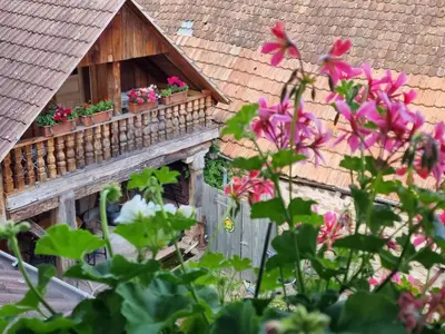 Jardin de l'établissement Le Gambrinus Chambres d'hôtes et restaurant