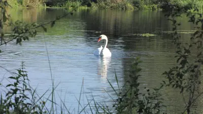 Vue sur la rivière ou le fleuve situé(e) à proximité de l'hôtel