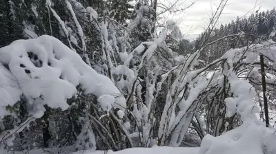 L'établissement résidence vallée des lacs en hiver
