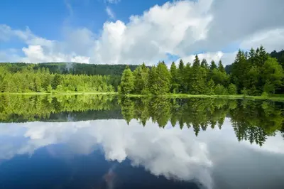 Paysage naturel près de l'appartement