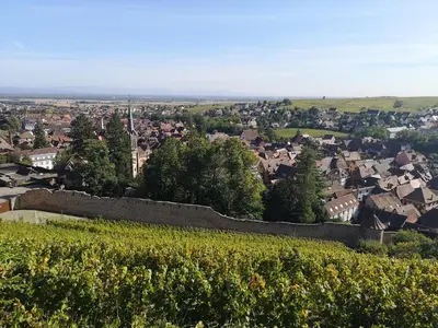 Paysage naturel près de l'appartement