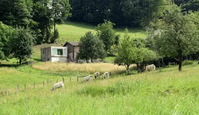 Paysage naturel près de la maison de vacances