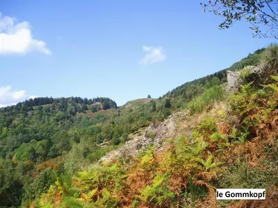 Paysage naturel près de le chalet