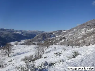 Paysage naturel près de le chalet