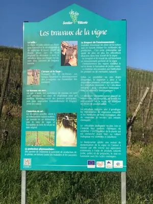 Plan de l'établissement LE MUSCAT