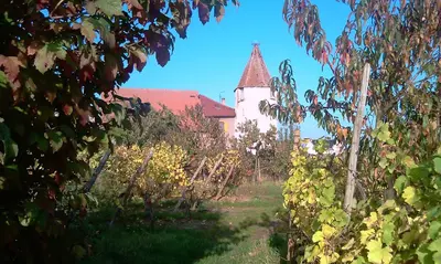 Jardin de l'établissement Les gîtes de la Tour, appartement 