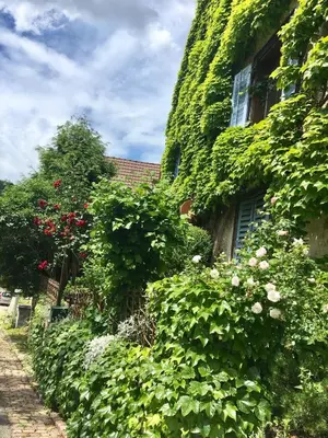 Jardin de l'établissement B&B de charme La Maison des 5 Temps