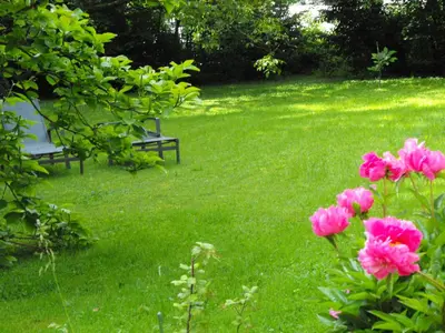 Jardin de l'établissement Chambres d'Hôtes la Maison de Juliette
