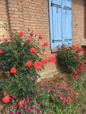 Jardin de l'établissement Camping du canal