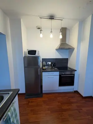 Cuisine ou kitchenette dans l'établissement L'ESCALE SELESTADIENNE