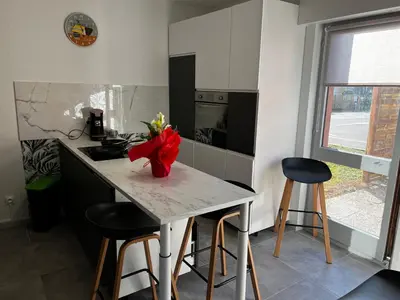 Cuisine ou kitchenette dans l'établissement Hôtel Le Riquewihr