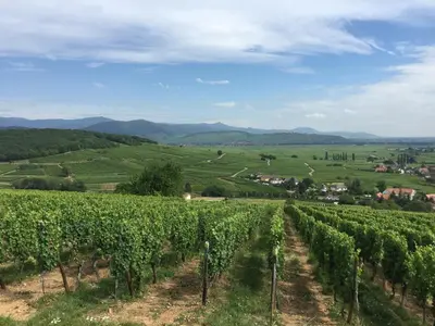 Paysage naturel près de la maison de vacances