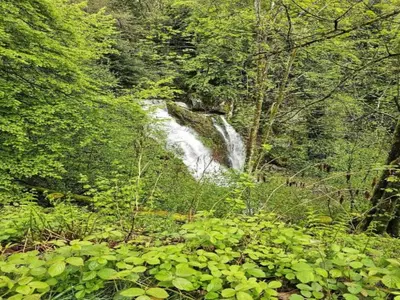 Paysage naturel près de la villa