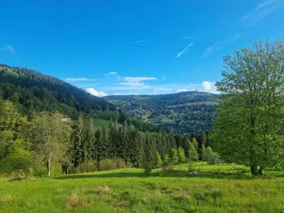Paysage naturel près de la maison de vacances