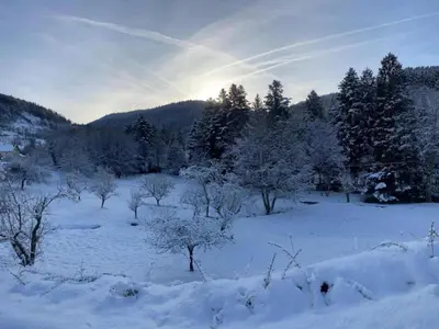 L'établissement Mansion in Vecoux with Pool and Garden en hiver