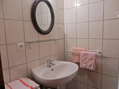 Salle de bains dans l'établissement Apartment in Riquewihr near Vineyards