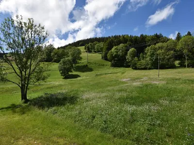 Paysage naturel près de le chalet