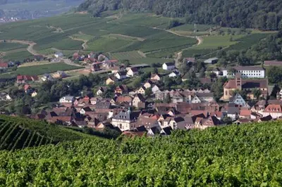 Paysage naturel près de l'appartement