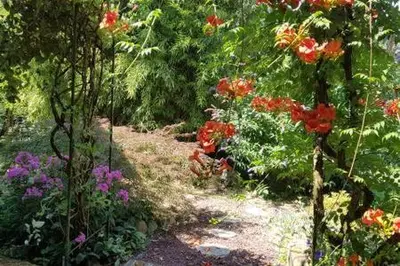 Jardin de l'établissement Chambre dans ancienne Ferme rénovée