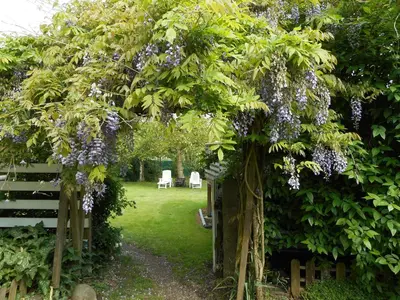Jardin de l'établissement Gîte La Charmaie