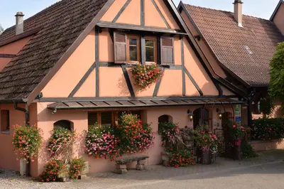 Jardin de l'établissement Chambres d'hôtes Fahrer-Ackermann