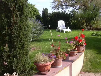 Jardin de l'établissement Vignoble