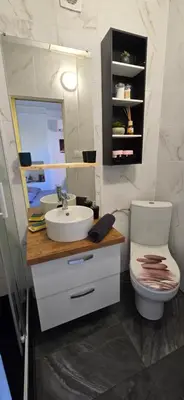 Salle de bains dans l'établissement Appartement avec jardin à Colmar