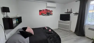 Télévision ou salle de divertissement dans l'établissement Appartement avec jardin à Colmar
