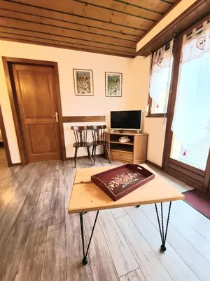 Télévision ou salle de divertissement dans l'établissement Gîte et Chambres d'hôtes, l'Erable