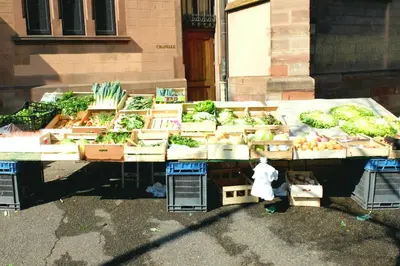 Nourriture dans l'appartement ou à proximité
