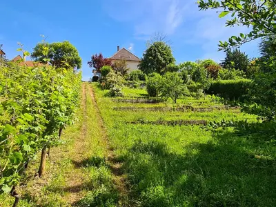 Jardin de l'établissement La maison de Paul