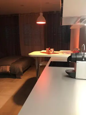 Cuisine ou kitchenette dans l'établissement Djokovic's Apartment