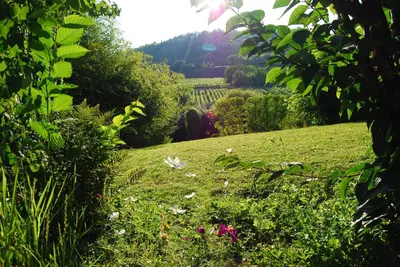 Paysage naturel près de le B&B/chambre d'hôtes
