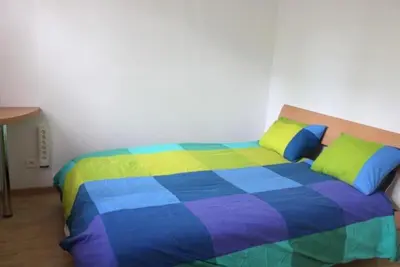 Un ou plusieurs lits dans un hébergement de l'établissement Spacieux 4 pièces centre de mulhouse