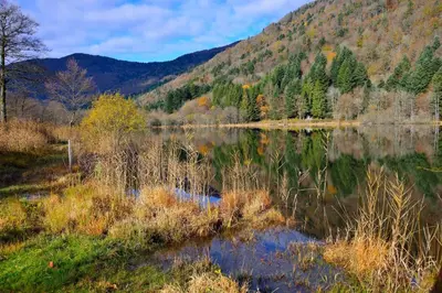 Paysage naturel près de la maison de vacances