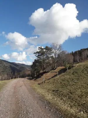 Paysage naturel près de la maison de vacances