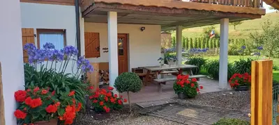 Jardin de l'établissement gite au coin du feu à 25mn de Colmar au calme avec jardin clos