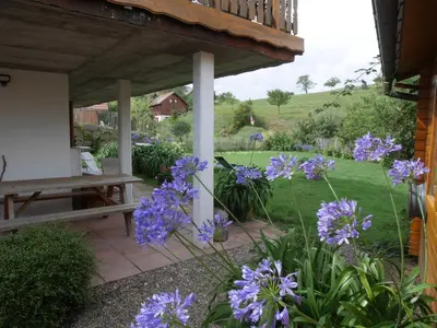 Jardin de l'établissement gite au coin du feu à 25mn de Colmar au calme avec jardin clos