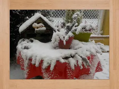 L'établissement LES HORTENSIAS en hiver
