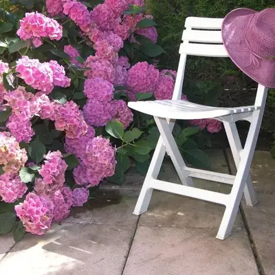 LES HORTENSIAS