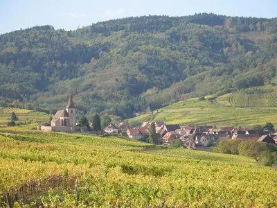 Paysage naturel près de l'appartement