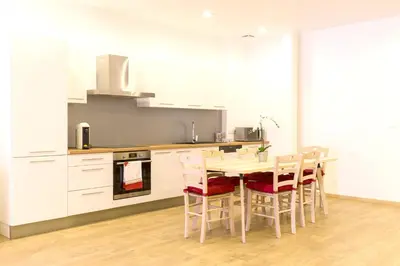 Cuisine ou kitchenette dans l'établissement Appartement grand standing VAUBAN 10 Personnes centre historique de Colmar