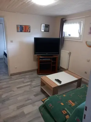 Télévision ou salle de divertissement dans l'établissement Le Mélusine
