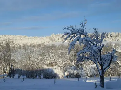 L'établissement House in Vosges near Cascades du Gerhard en hiver