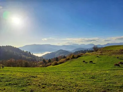 Paysage naturel près de la maison de vacances