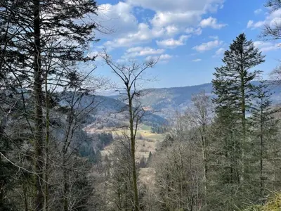 Paysage naturel près de le chalet