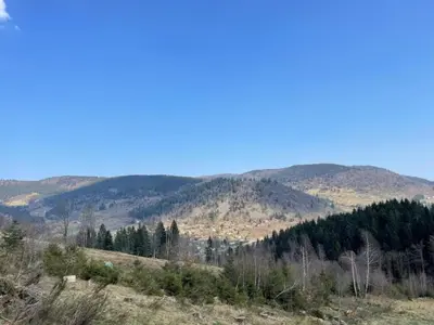 Paysage naturel près de le chalet