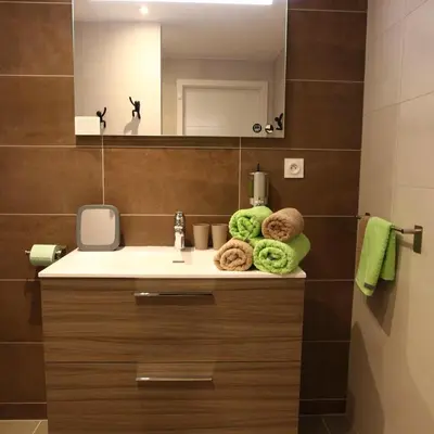 Salle de bains dans l'établissement Le Riesling Colmar centre Charmant appartement avec terrasse et parking gratuit