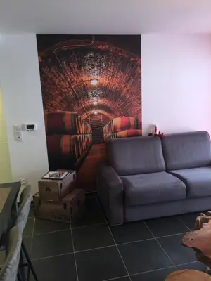 Coin salon dans l'établissement Le Riesling Colmar centre Charmant appartement avec terrasse et parking gratuit