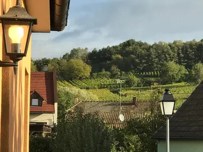 Jardin de l'établissement le chemin du Meunier
